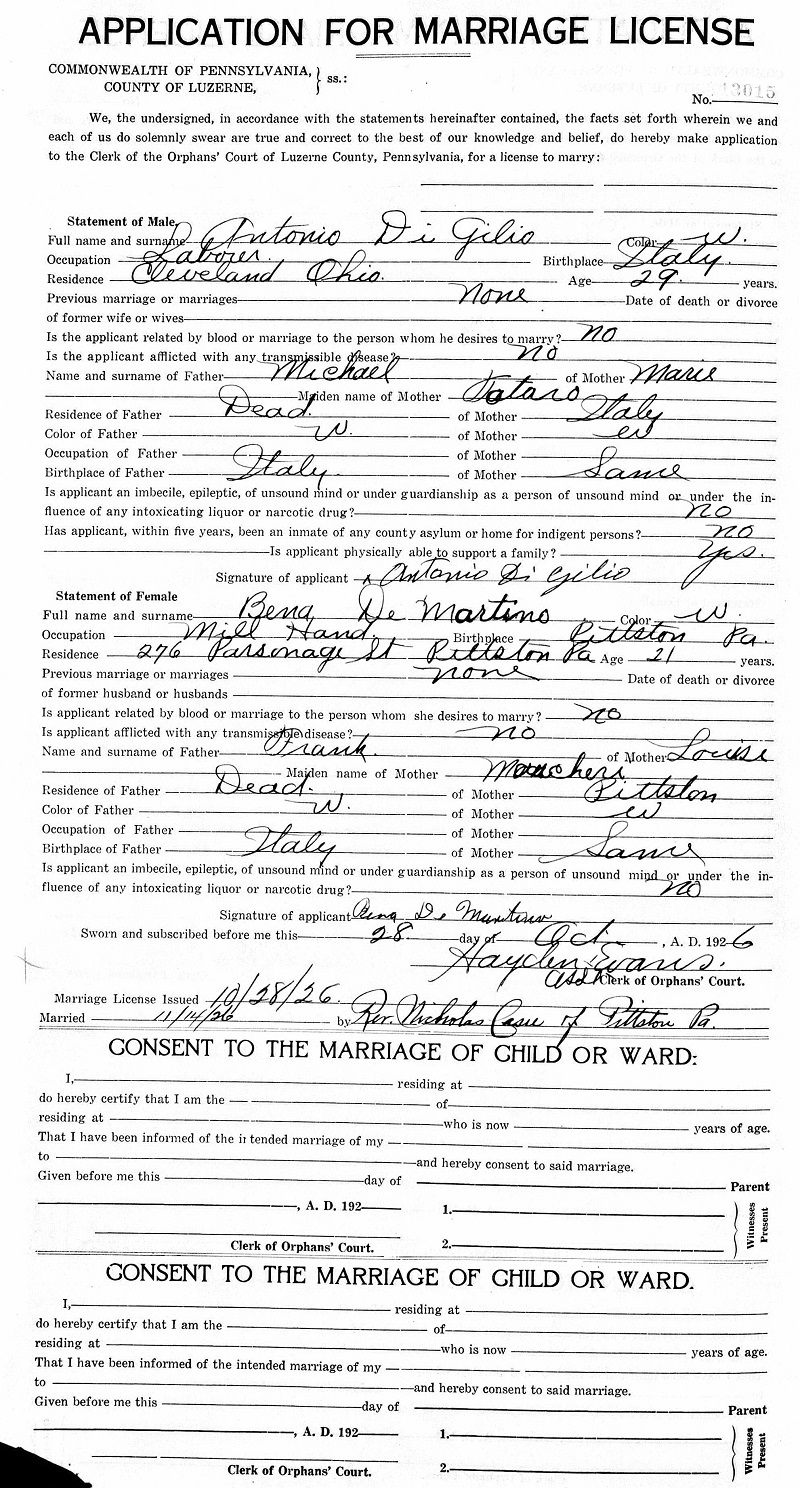 Albena DeMartino and Anthony DiGilio Marriage