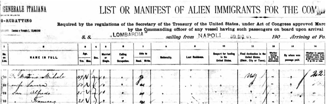 Michele DeMartino Immigration Record