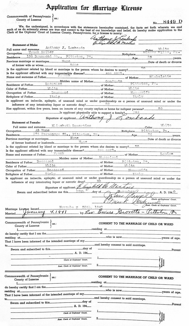 Elizabeth DeMartino and Anthony Lombardo Marriage