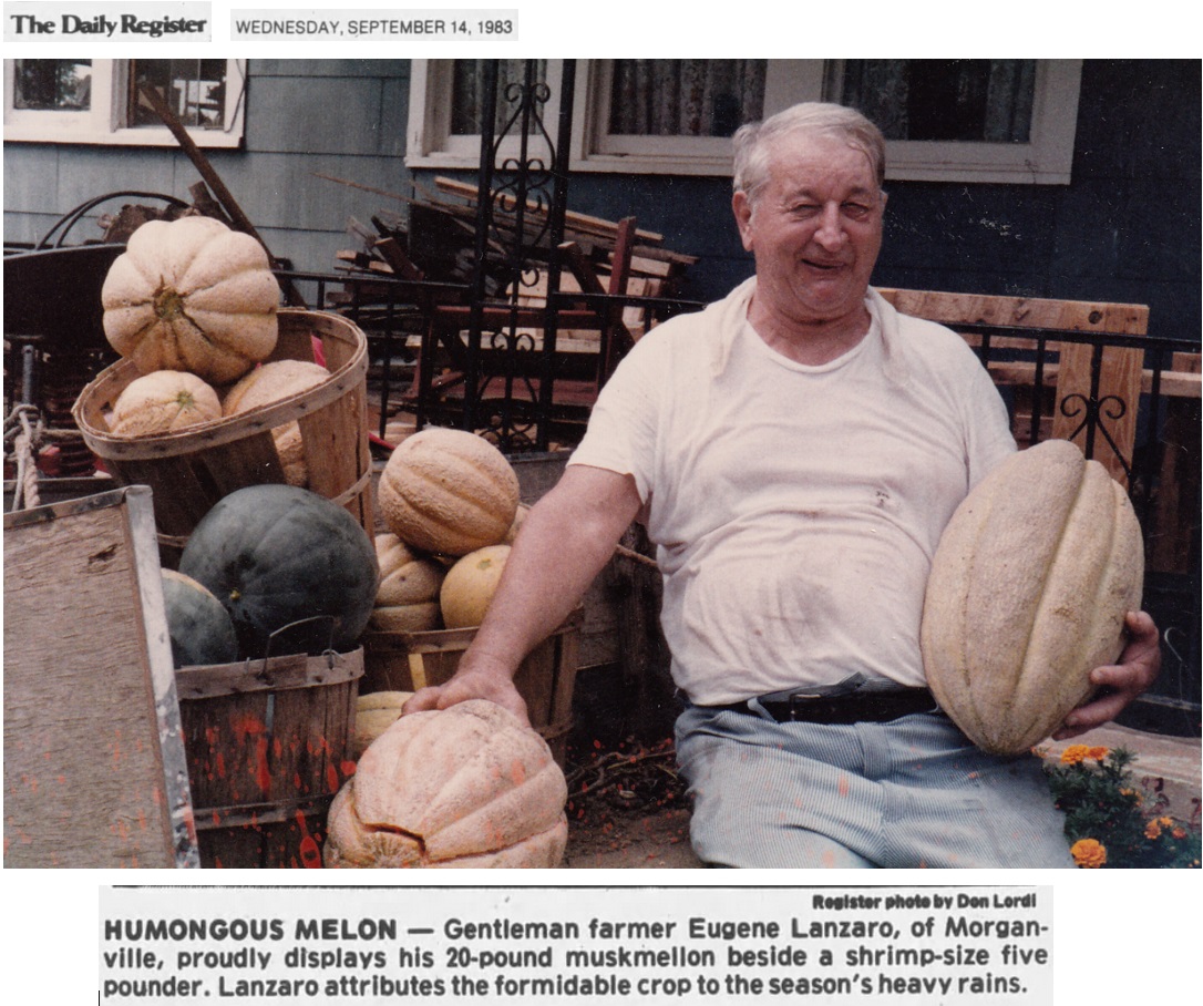 Gentleman Farmer