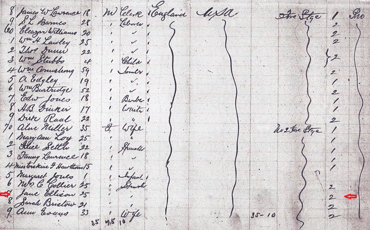 Jane Ellison Immigration Passenger List