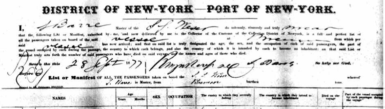 Johann Grothusen immigration Record