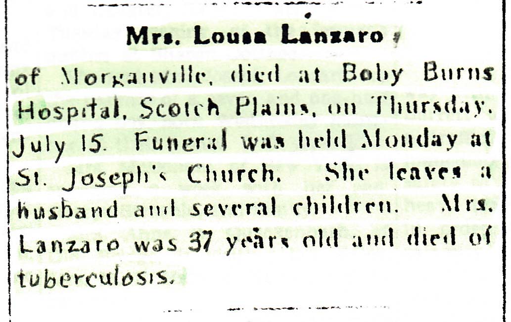 Louisa Lanzaro Obituary