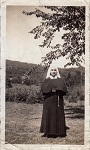 Click here for larger photo