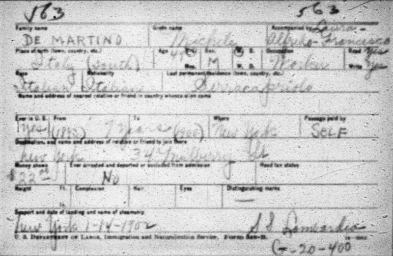 Michele DeMartino Immigration Record
